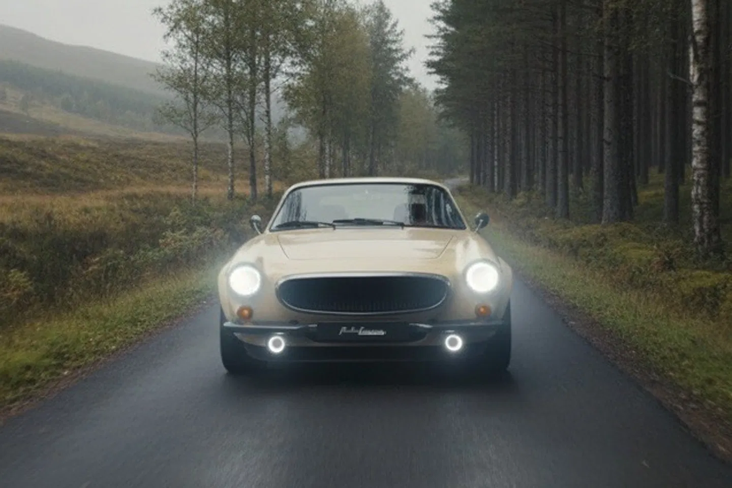 Volvo P1800 ES 8