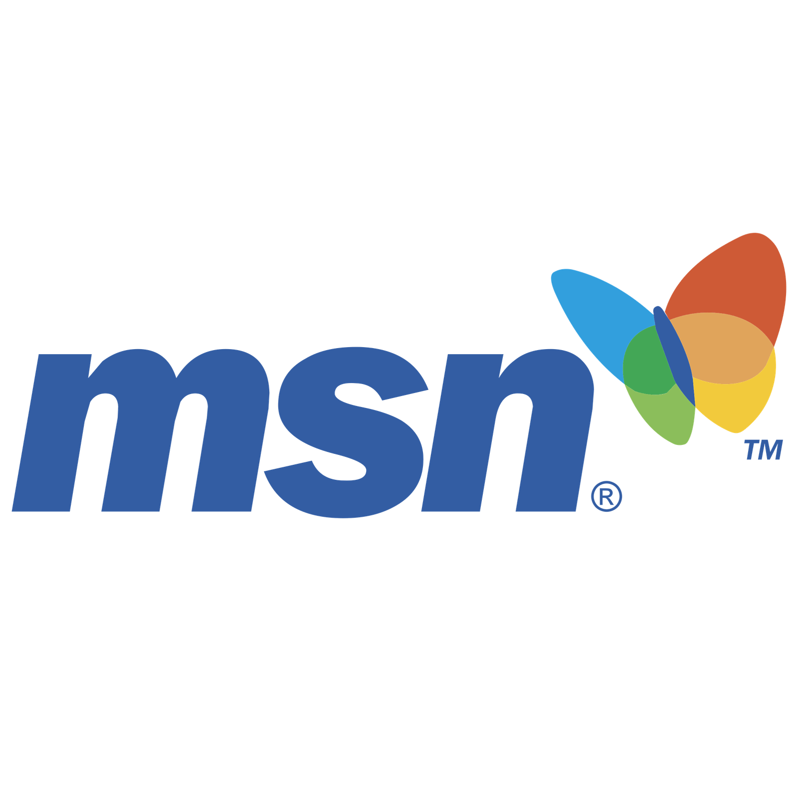MSN Logo